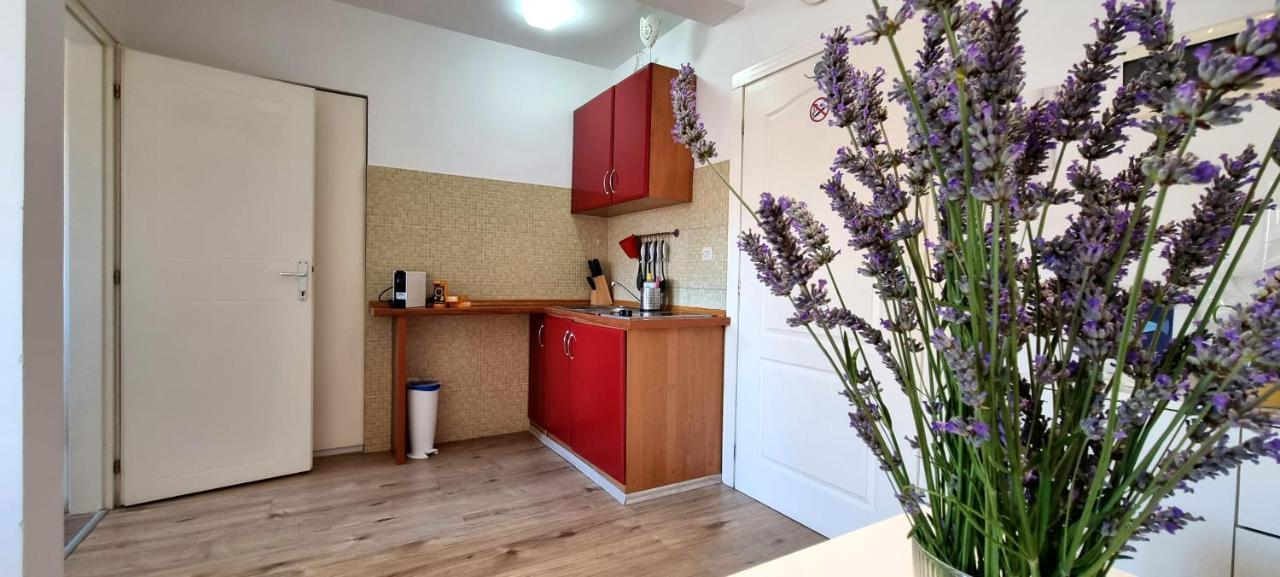 Tiny Studio Big Living Apartment Rovinj Exterior foto