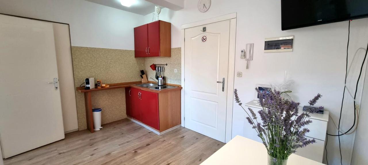 Tiny Studio Big Living Apartment Rovinj Exterior foto