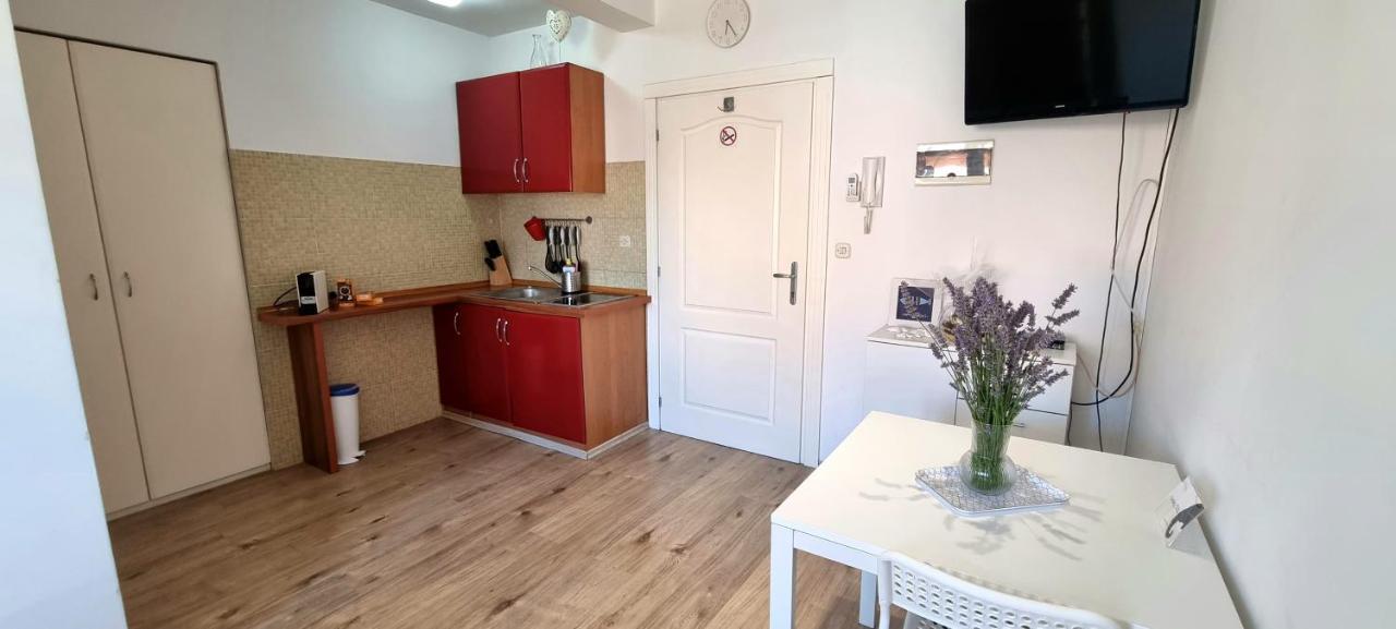 Tiny Studio Big Living Apartment Rovinj Exterior foto