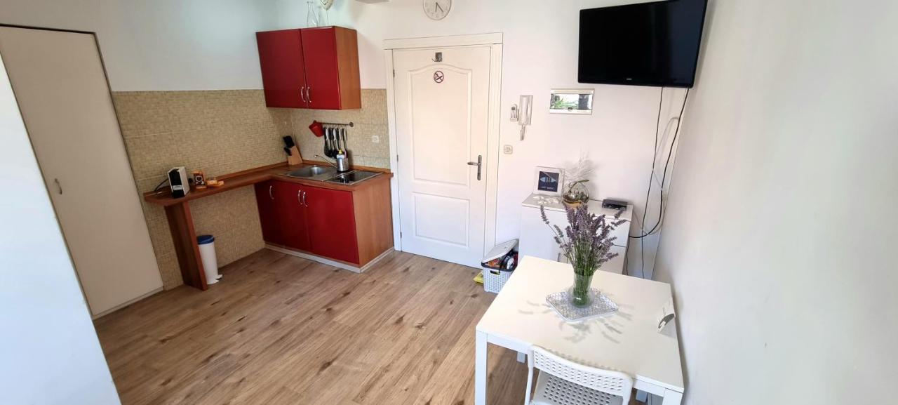 Tiny Studio Big Living Apartment Rovinj Exterior foto